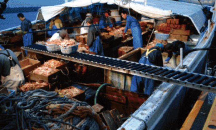 栄養豊かな海水で育った日本海の幸