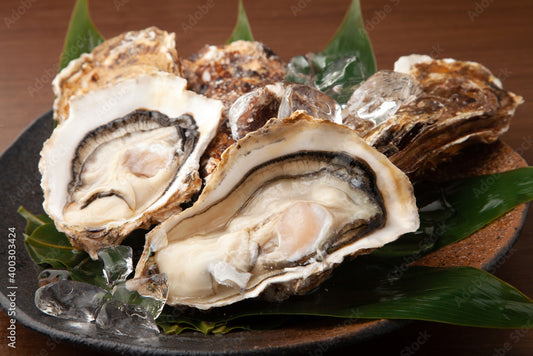 鳥取賀露港　天然岩がき（8～10個セット）