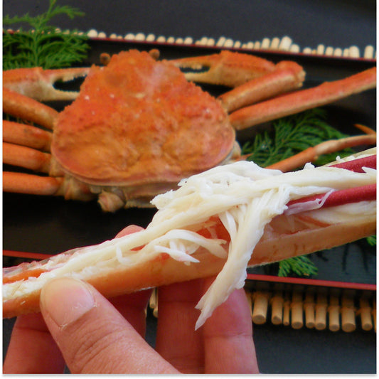 【早割 11/18配送分まで】松葉がに（大中・1~1.5人前） 600g以上 ボイル