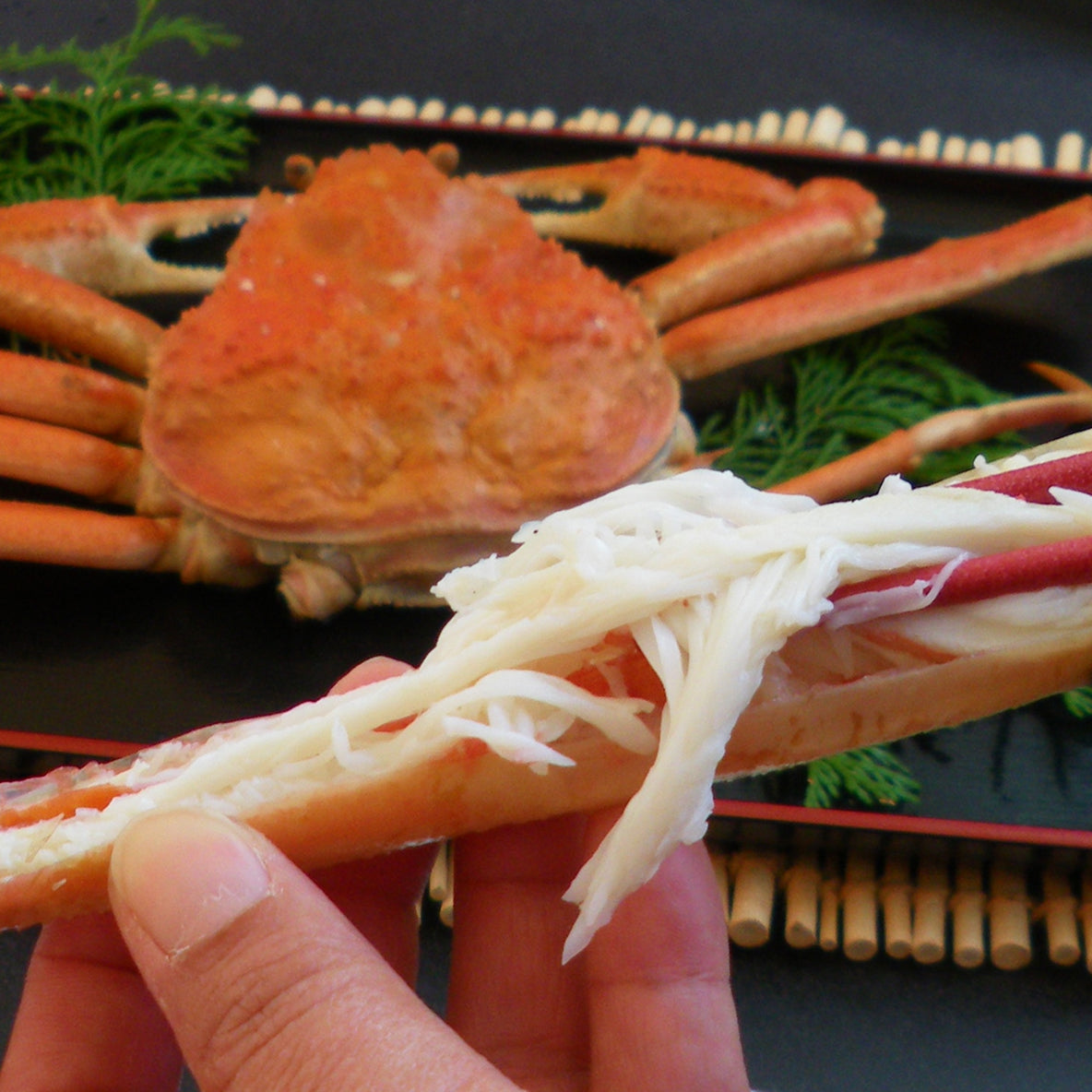 松葉がに（訳あり・超特々大・3~3.5人前） 1kg以上 ボイル