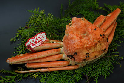 【早割 11/18配送分まで】松葉がに（中・1人前）　500g以上 ボイル