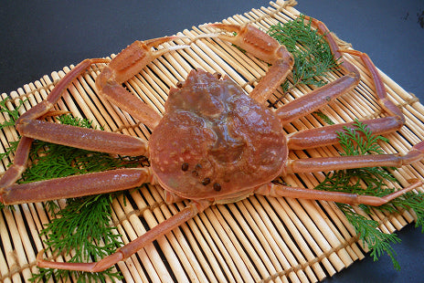 【早割 11/18配送分まで】松葉がに（大・1.5~2人前） 700g以上 生