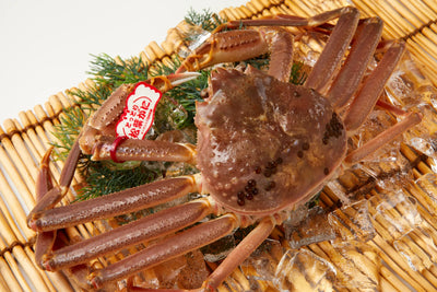 松葉がに（訳あり・特々大・2.5~3人前） 900g以上 生