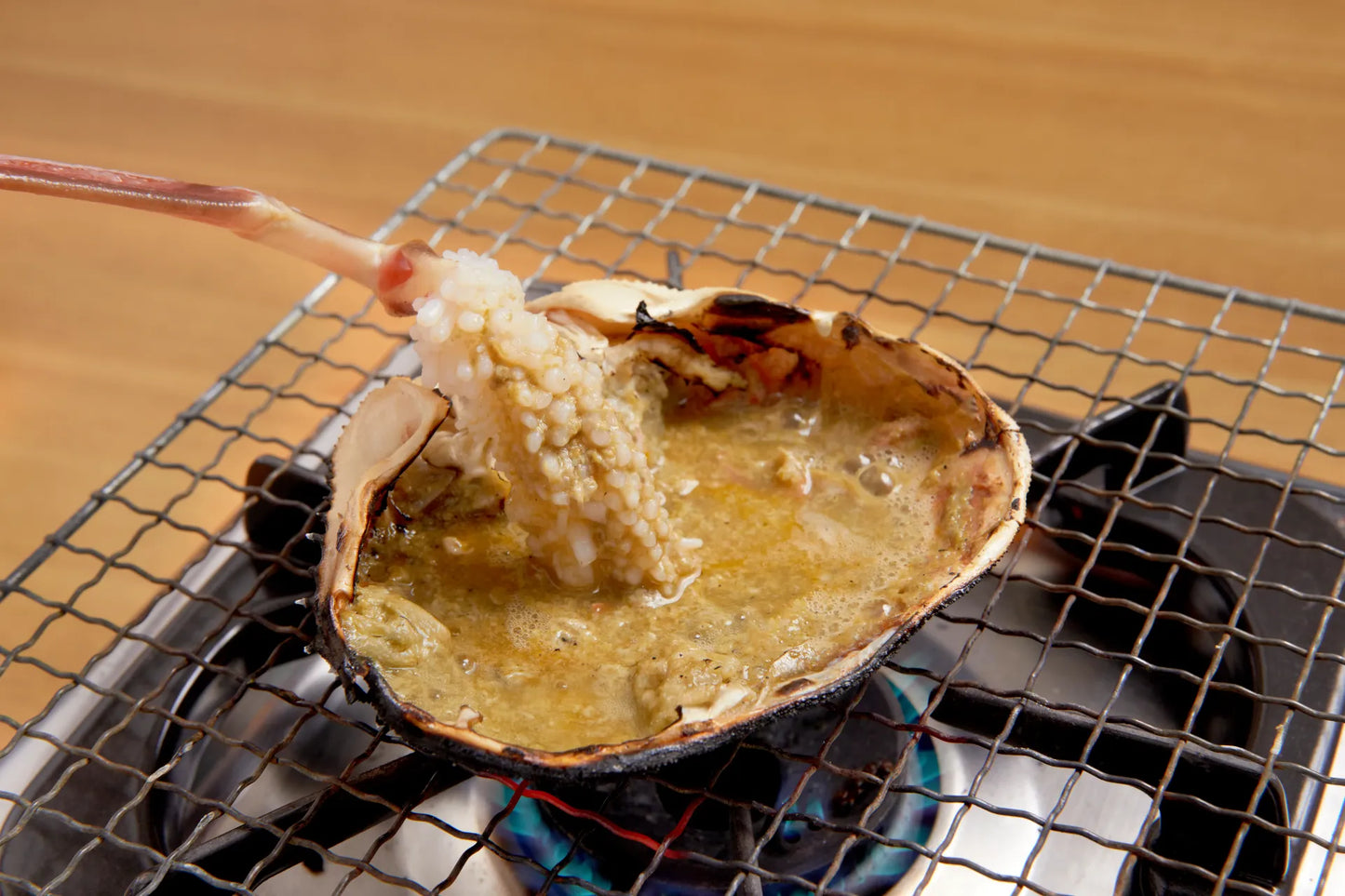 【早割 11/18配送分まで】五輝星 生